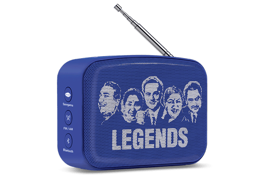 Saregama-Carnvaa-Mini-New